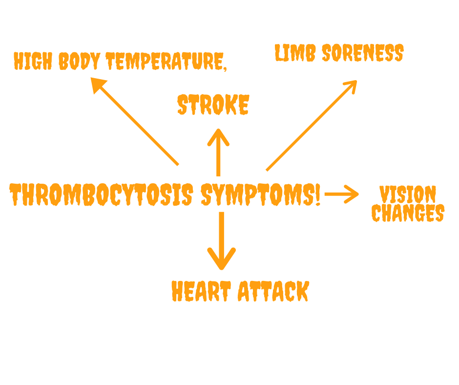 thrombocytosis symptoms