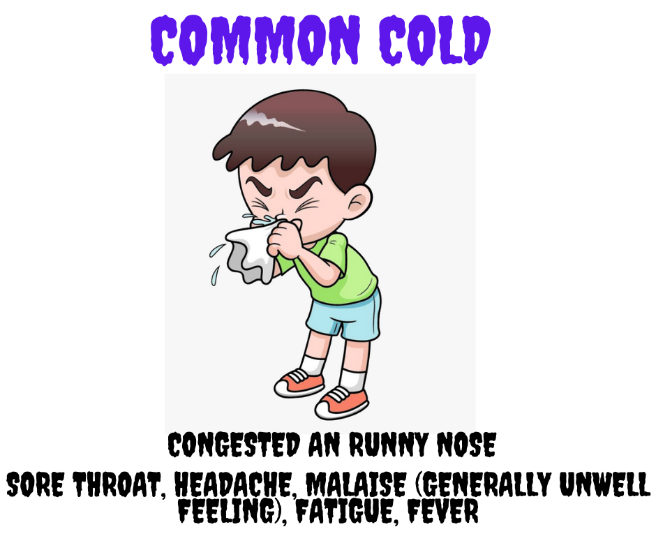 common cold symptoms and signs