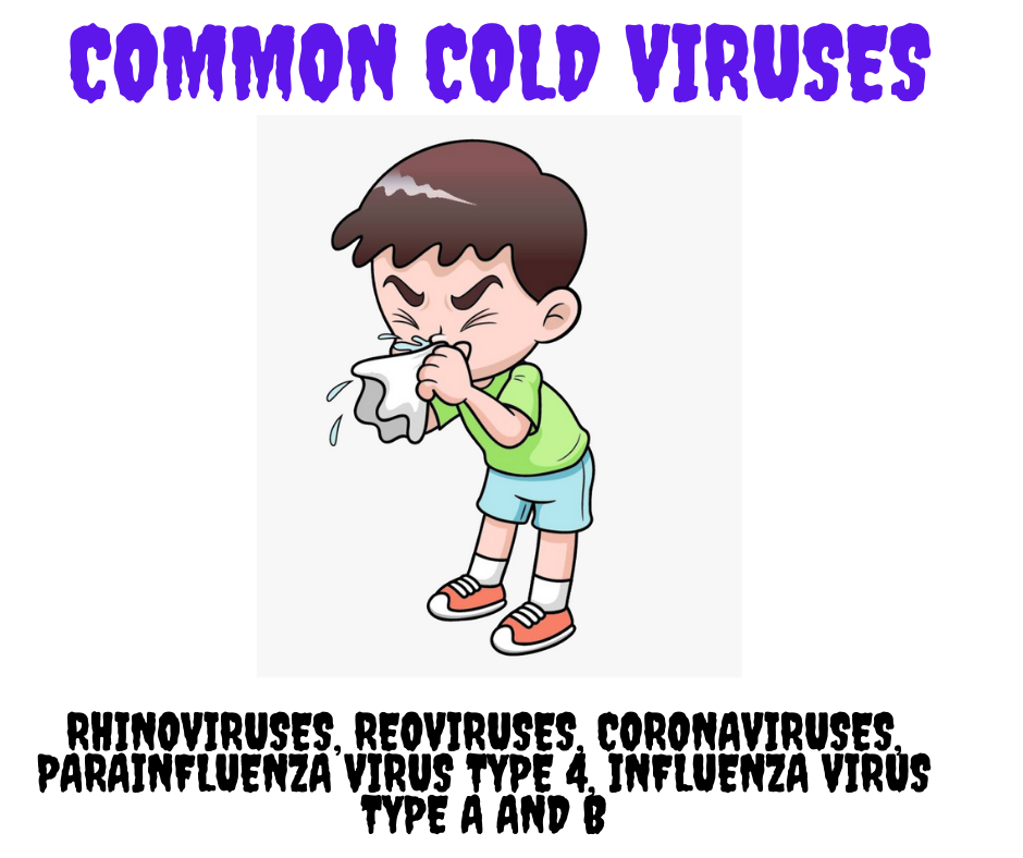 Common cold - causes